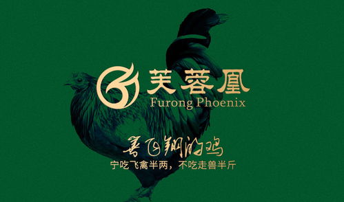 芙蓉凰雞攜手萬(wàn)域廣告 打造深圳品牌設(shè)計(jì)的卓越典范